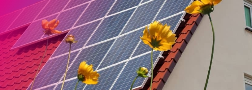 ¿Compensa vender energía solar? las ventajas de vender el excedente de tus propias placas solares con Holaluz.