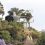 La CASA FUTURISTA que parece una nave espacial perdida en el bosque