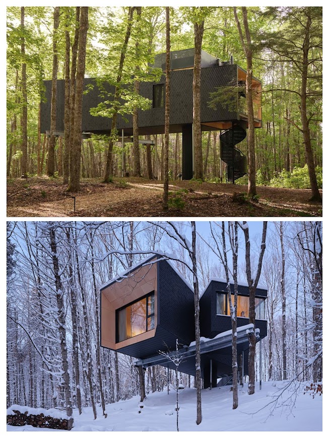 Hotel en los árboles off-grid en Canadá: el silencio rebelde 2